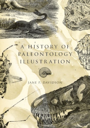 Cover image for A History of Paleontology Illustration, isbn: 9780253351753