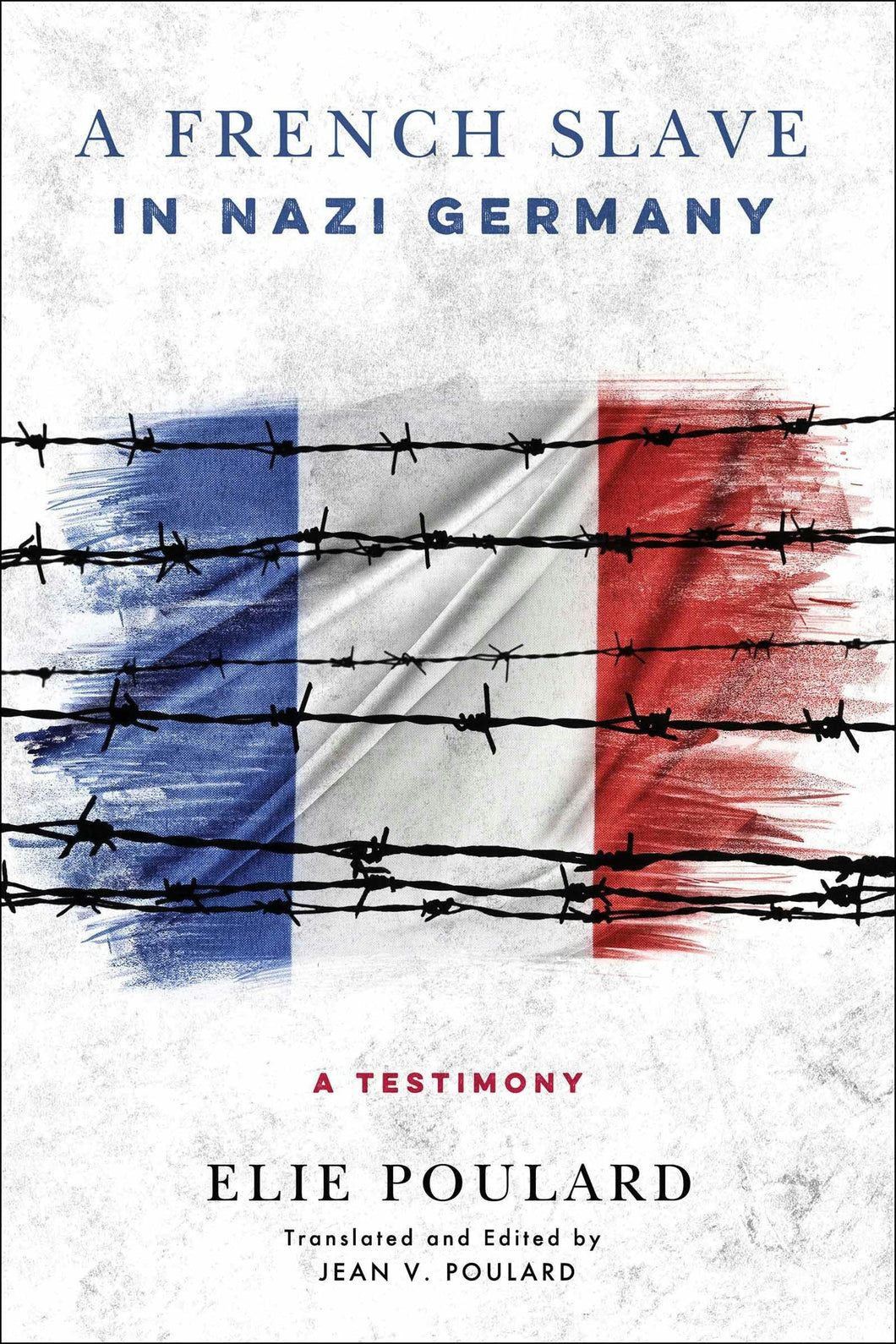 Cover image for A French Slave in Nazi Germany, isbn: 9780268100803