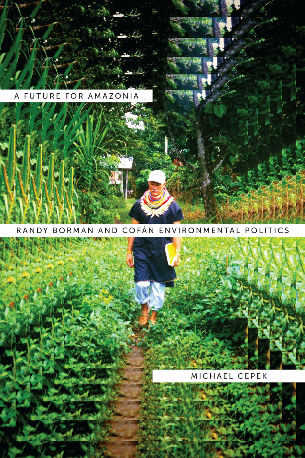 Cover image for A Future for Amazonia, isbn: 9780292739505