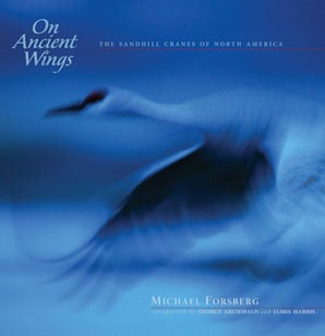Cover image for On Ancient Wings, isbn: 9780975496404