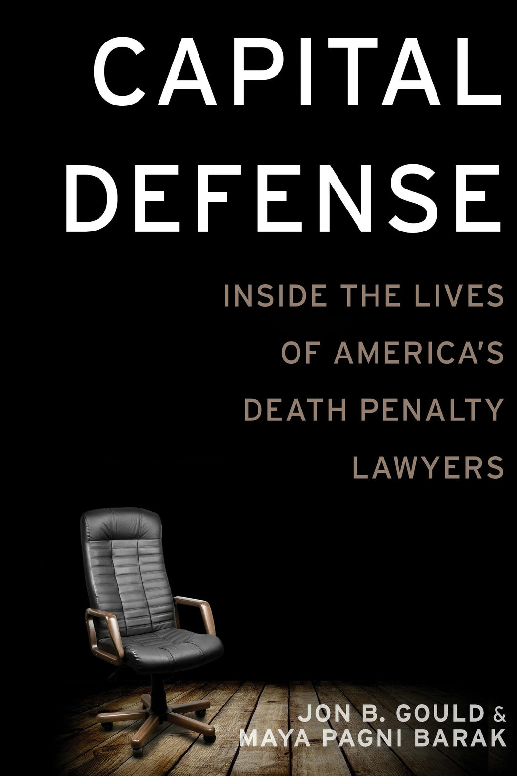 Cover image for Capital Defense, isbn: 9781479805174