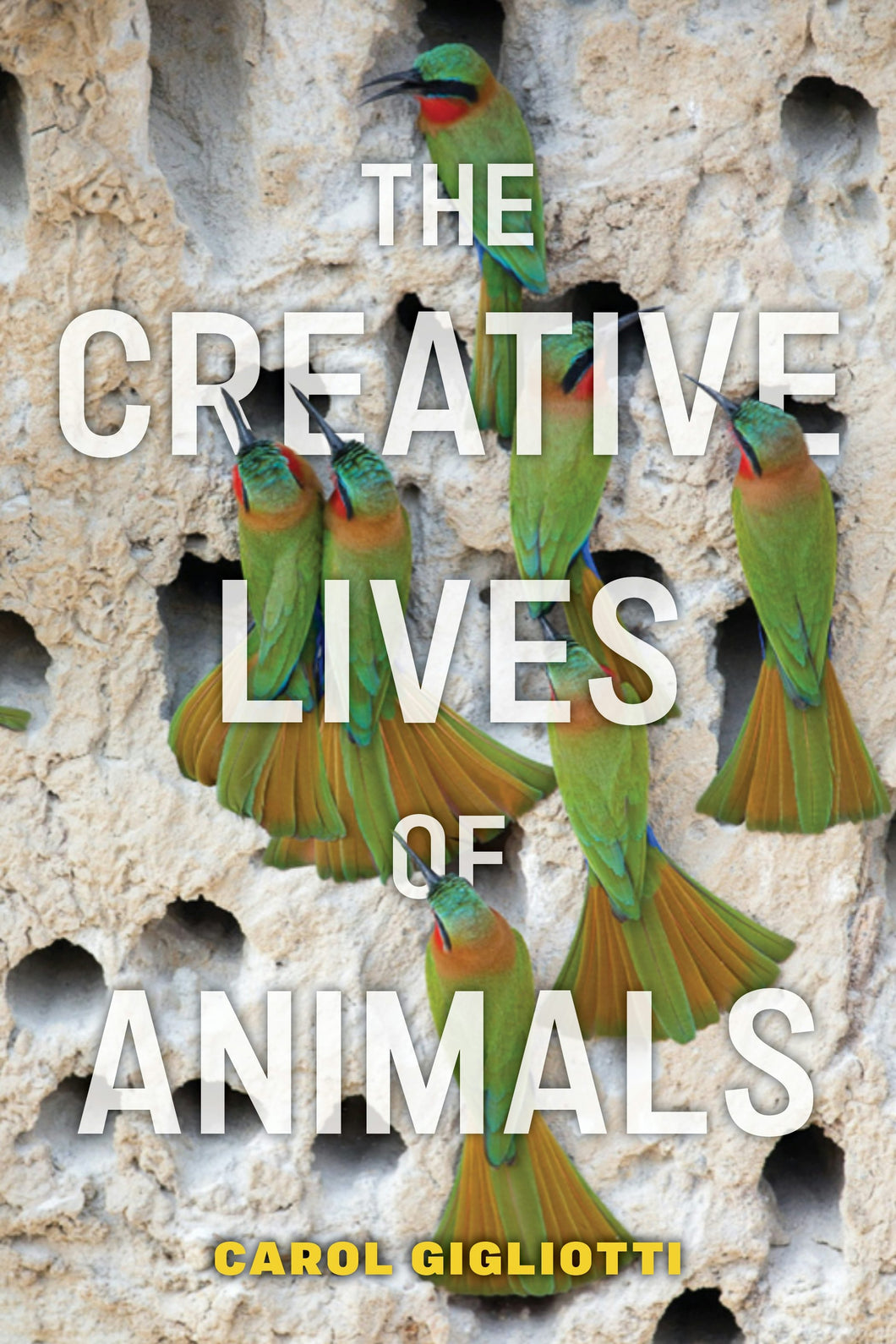 Cover image for The Creative Lives of Animals, isbn: 9781479815456