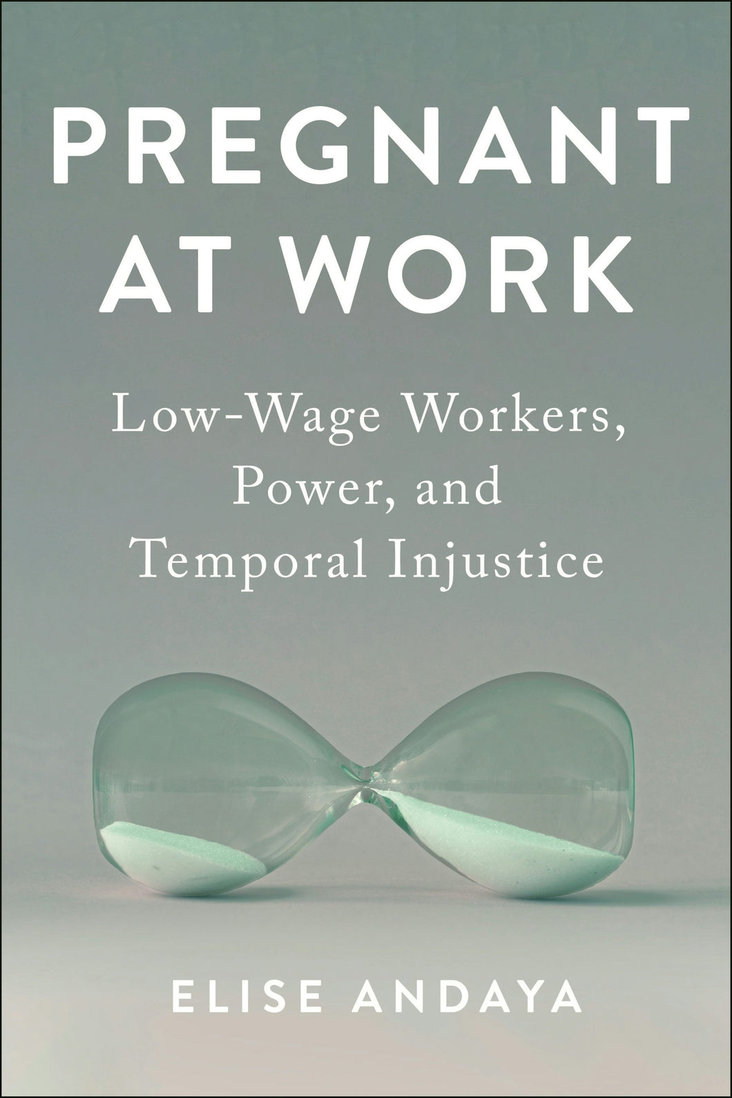 Cover image for Pregnant at Work, isbn: 9781479817603
