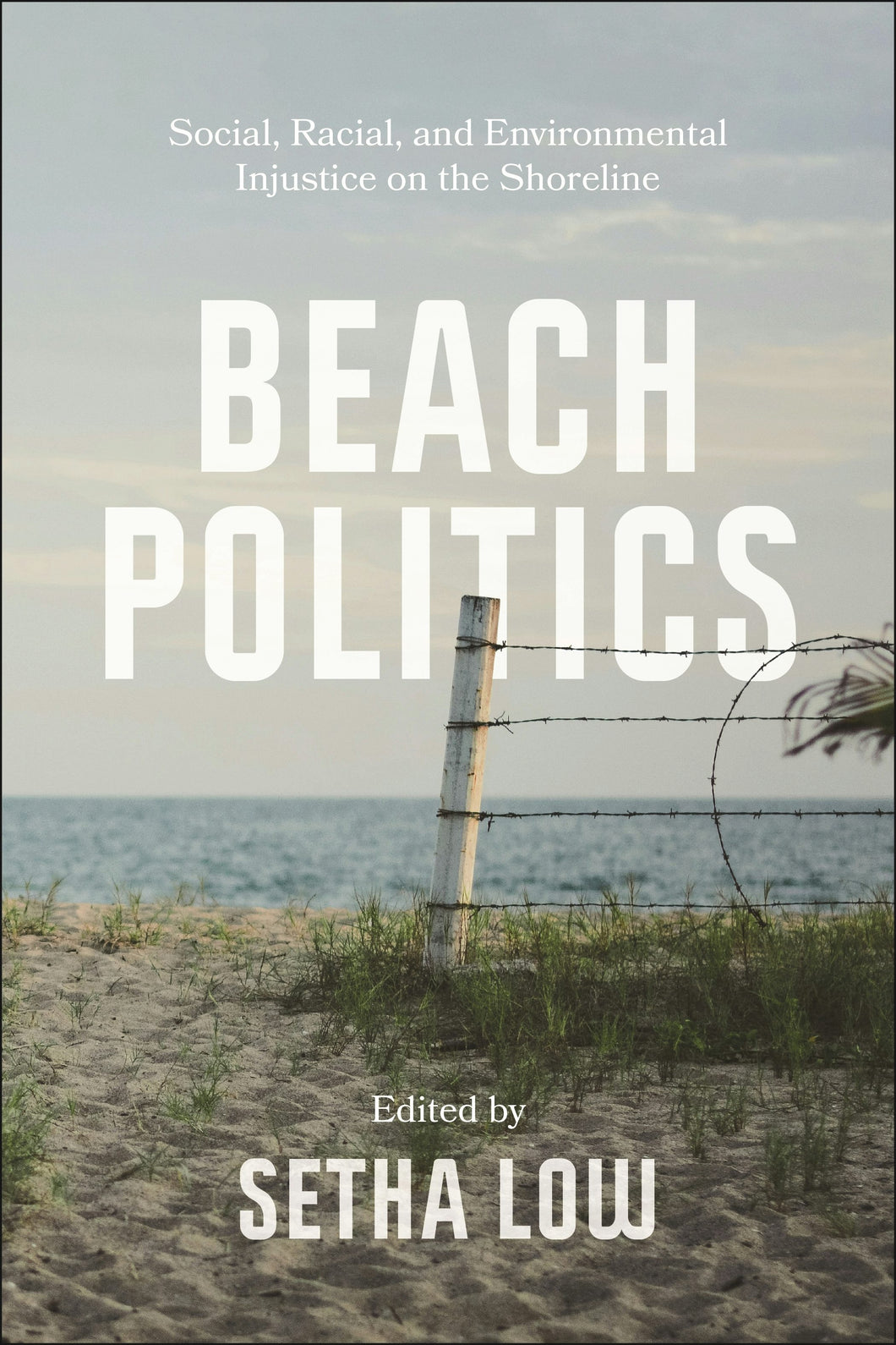 Cover image for Beach Politics, isbn: 9781479821969