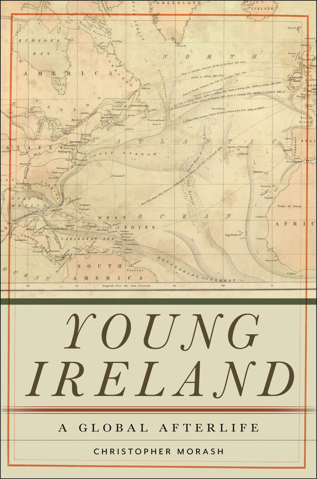 Cover image for Young Ireland, isbn: 9781479822232