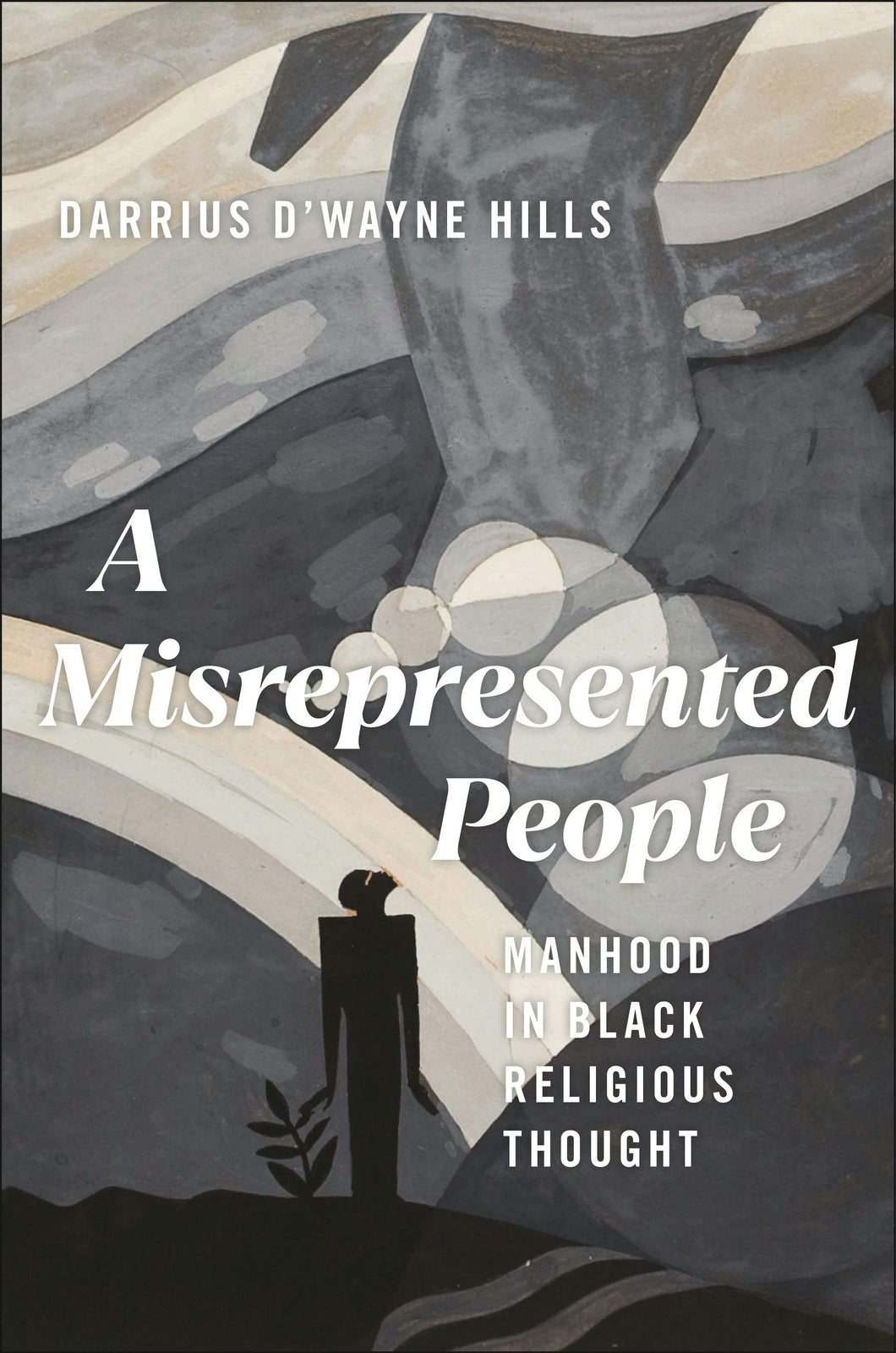 Cover image for A Misrepresented People, isbn: 9781479823321