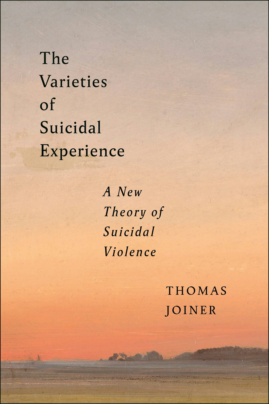 Cover image for The Varieties of Suicidal Experience, isbn: 9781479823482