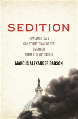 Cover image for Sedition, isbn: 9781479828883