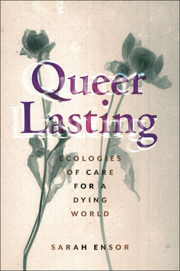 Cover image for Queer Lasting, isbn: 9781479829491