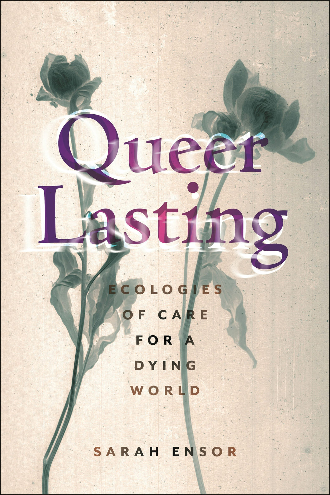 Cover image for Queer Lasting, isbn: 9781479829491