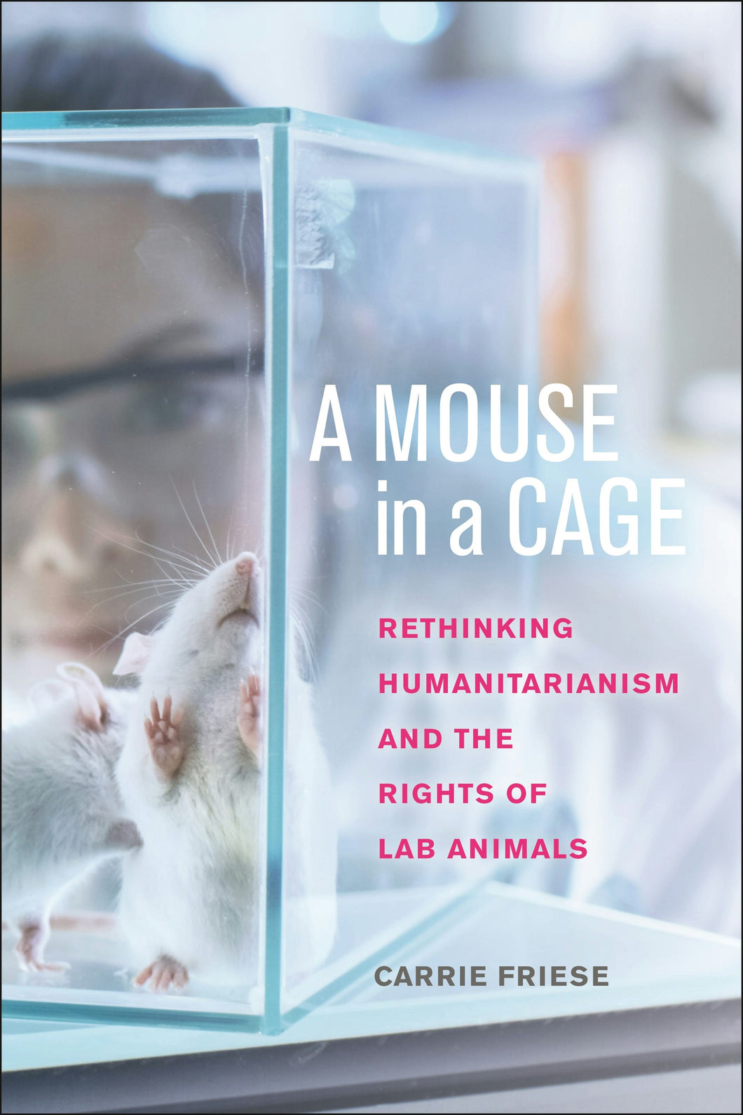 Cover image for A Mouse in a Cage, isbn: 9781479833481