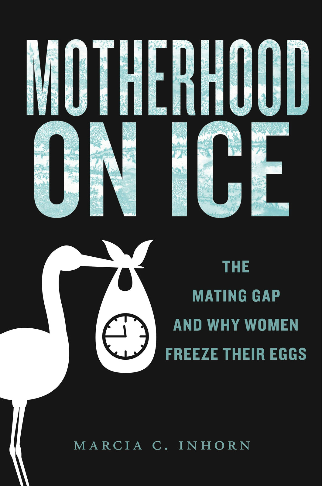 Cover image for Motherhood on Ice, isbn: 9781479840199