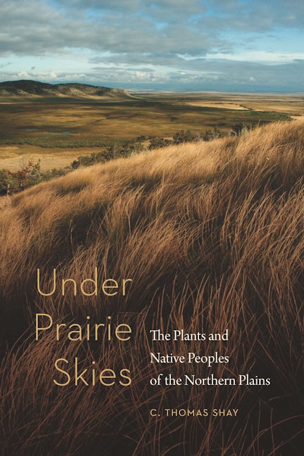 Under Prairie Skies