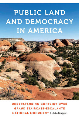 Cover image for Public Land and Democracy in America, isbn: 9781496241054