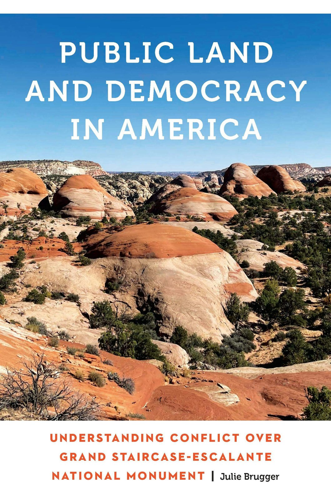 Cover image for Public Land and Democracy in America, isbn: 9781496241054