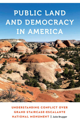 Cover image for Public Land and Democracy in America, isbn: 9781496241535