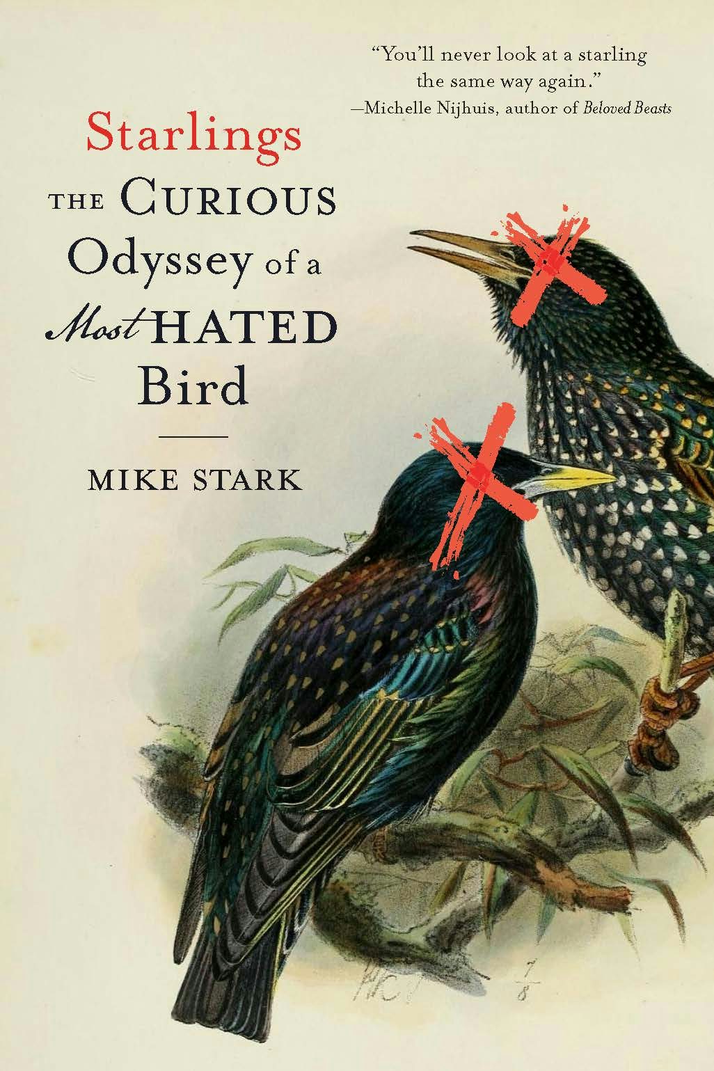 Cover image for Starlings, isbn: 9781496242761