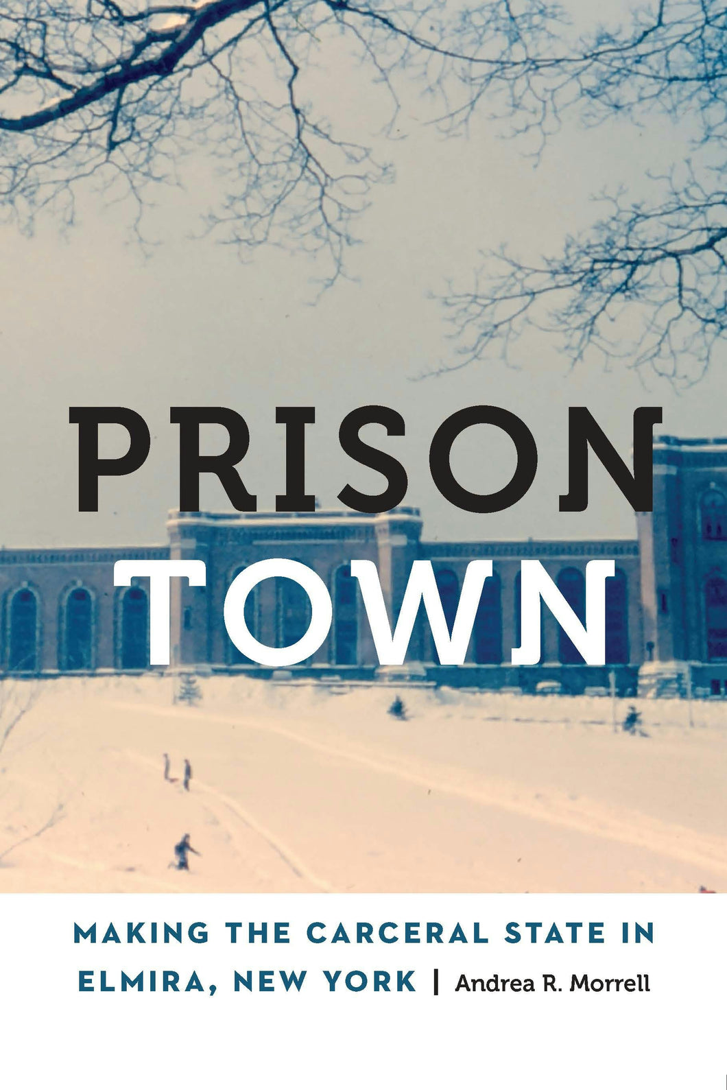 Cover image for Prison Town, isbn: 9781496243119