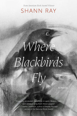 Cover image for Where Blackbirds Fly, isbn: 9781496243577
