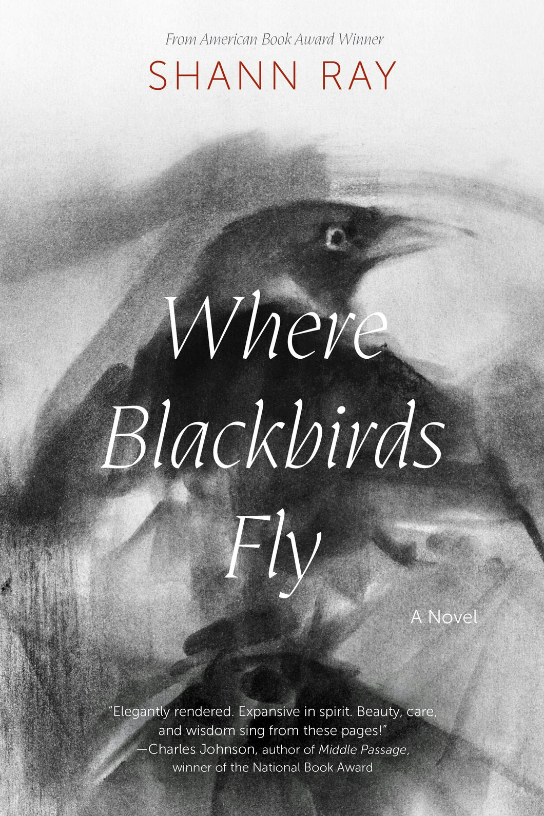 Cover image for Where Blackbirds Fly, isbn: 9781496243577