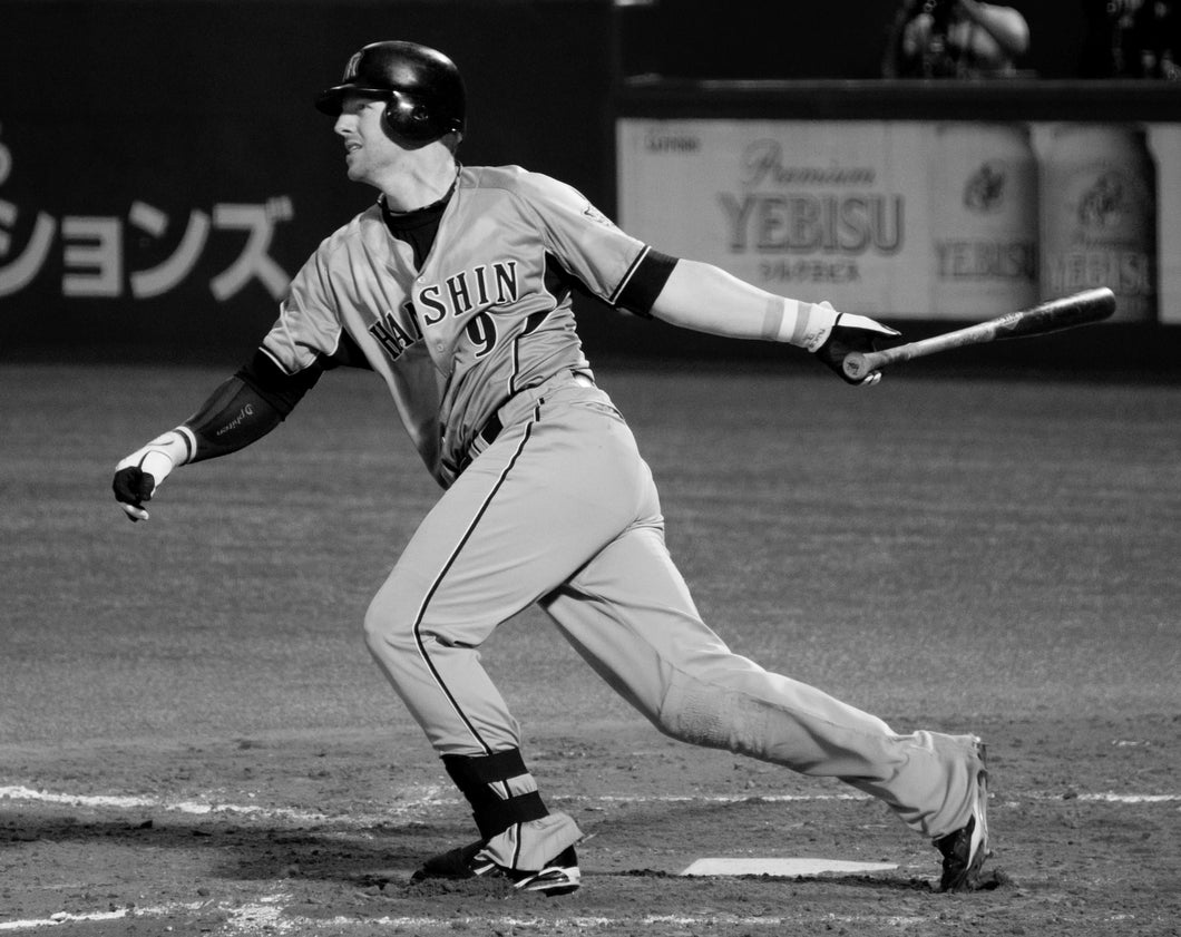 Cover image for In the Japanese Ballpark, isbn: 9781496244079