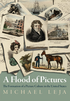 Cover image for A Flood of Pictures, isbn: 9781512826807