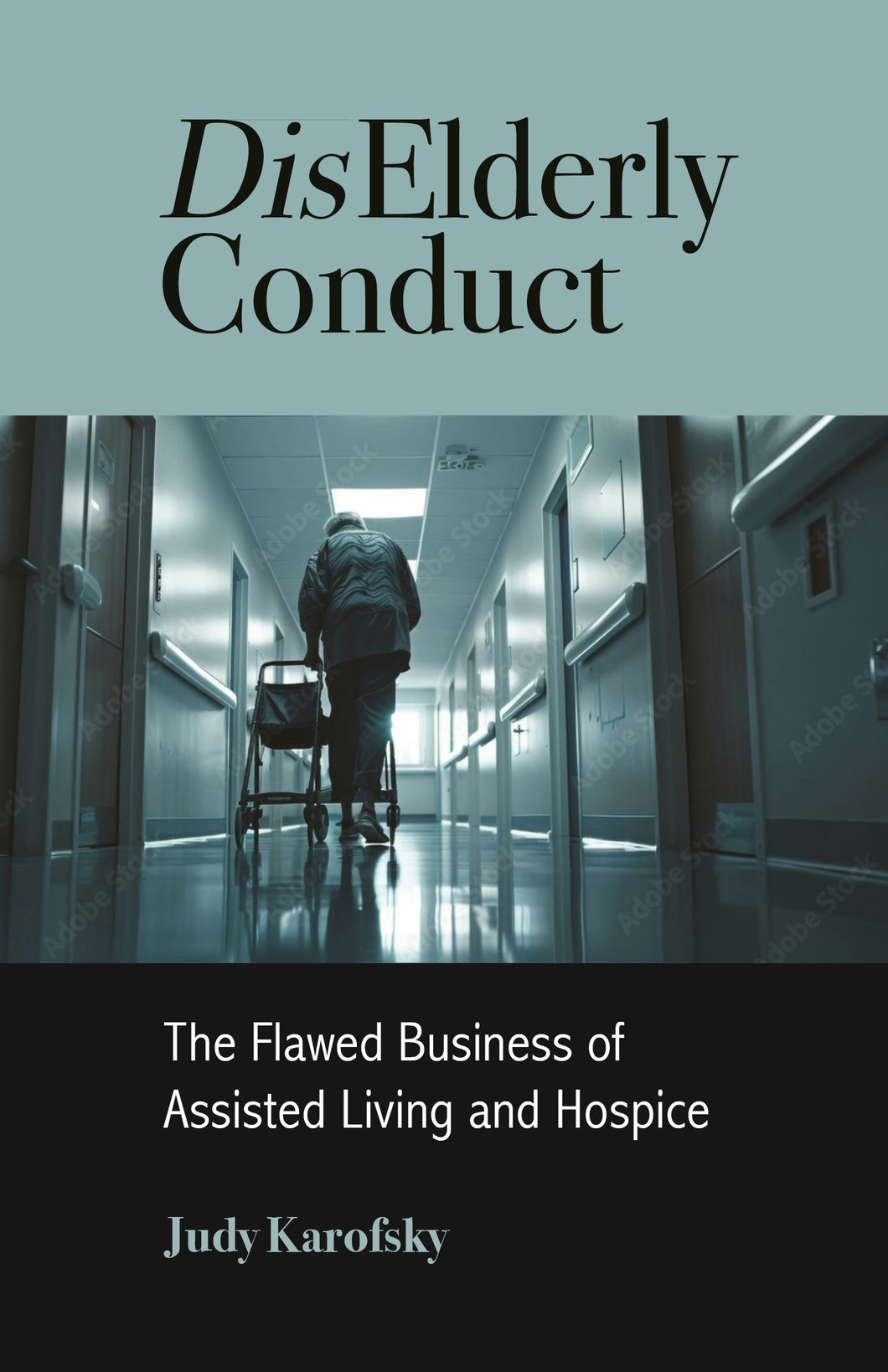 Cover image for DisElderly Conduct, isbn: 9781613322680